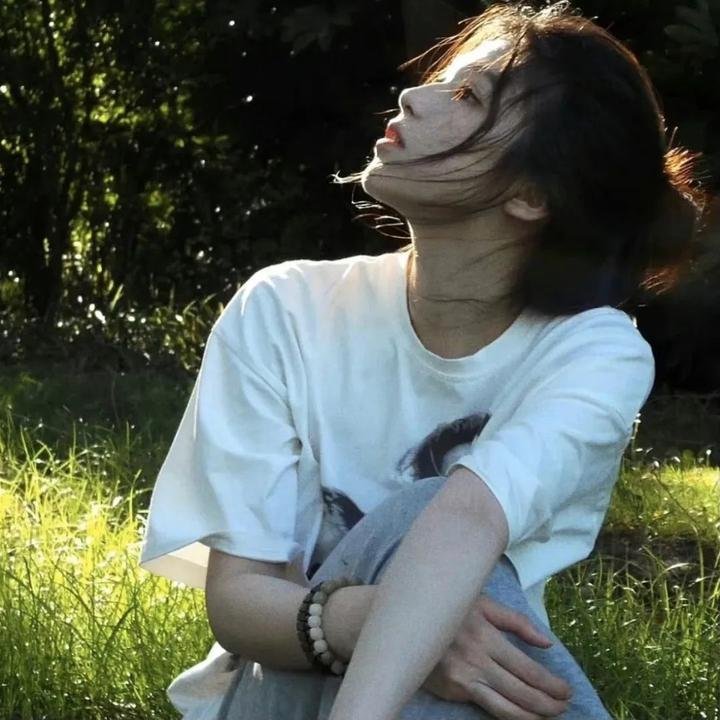 监察局长 海报